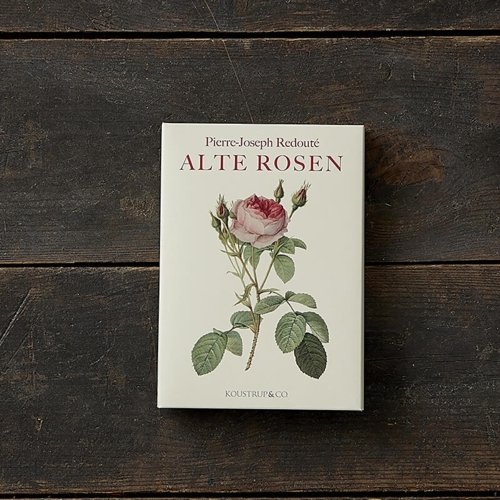 ALTE ROSEN - 8 kort (tysk)