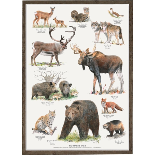 NORDENS DYR - Plakat A2