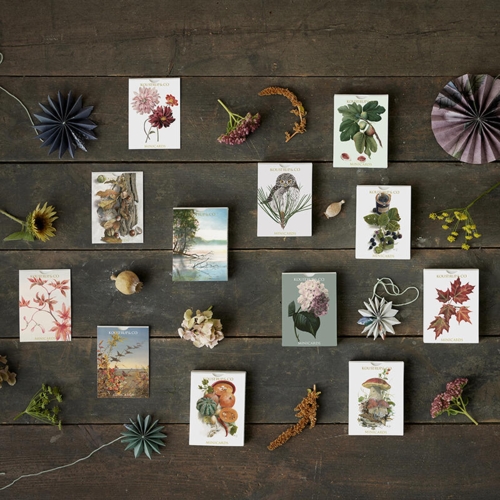 MINIKORT - Efterår (NYE MOTIVER)