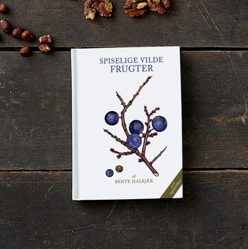 SPISELIGE VILDE FRUGTER 2. udgave