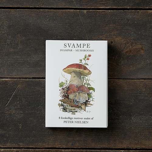 SVAMPE - 8 kort