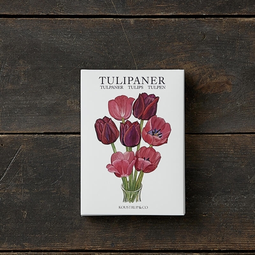 TULIPANER - 8 kort