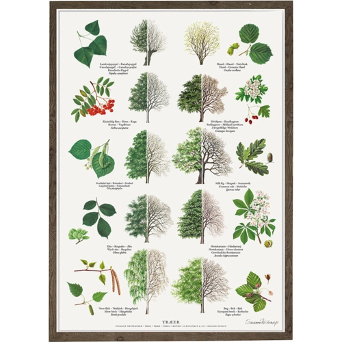 TRÆER - Plakat A2
