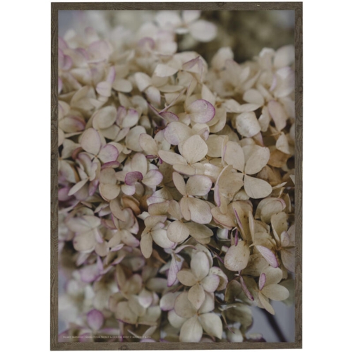 SUGAR AND SPICE - Fotokunst - vælg størrelse