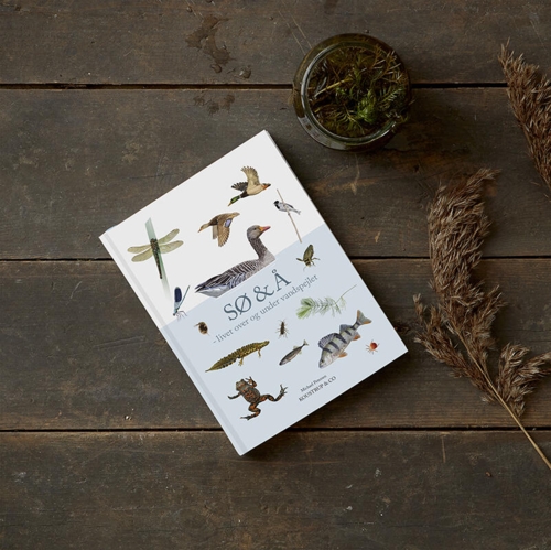 SØ og Å - livet over og under vandspejlet