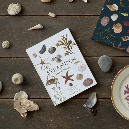 Stranden dy og planter