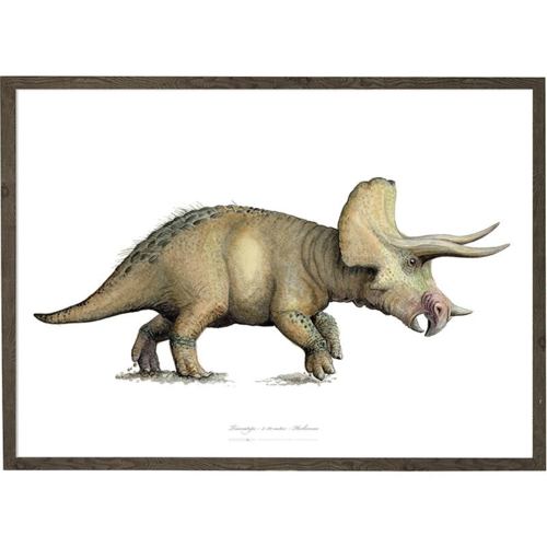 Triceratops - KUNSTPRINT - VÆLG STØRRELSE