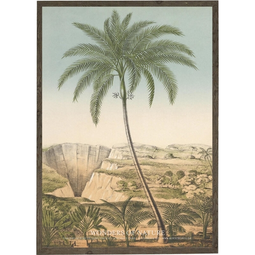 Isle of Bory da Saint Vincent - KUNSTPRINT - VÆLG STØRRELSE