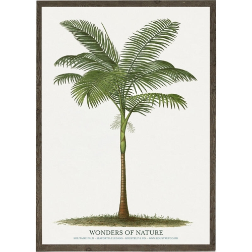 Solitaire palm - KUNSTPRINT - VÆLG STØRRELSE