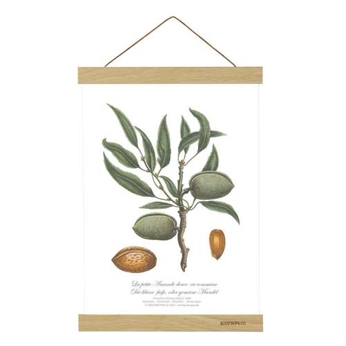 MAGNETSKINNE A4 - Eg