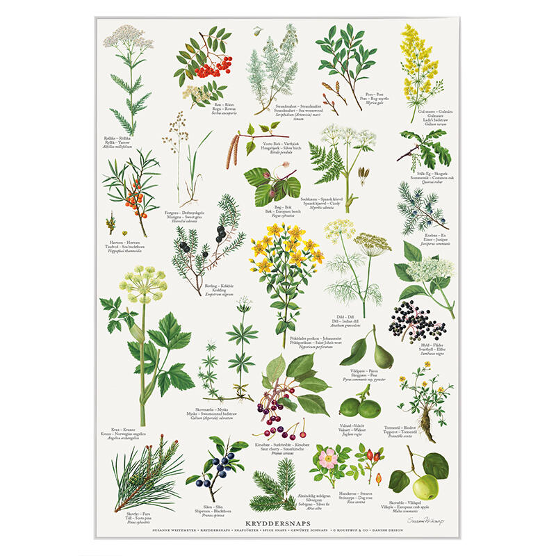 KRYDDERSNAPS - Poster A2