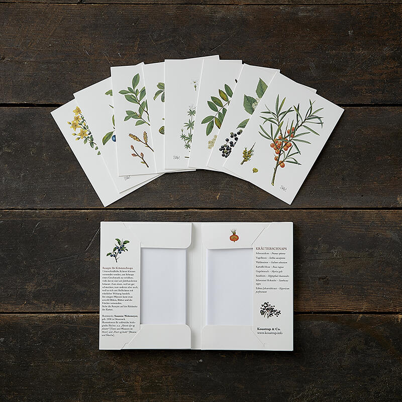 KRÄUTERSCHNAPS - 8 cards (German)