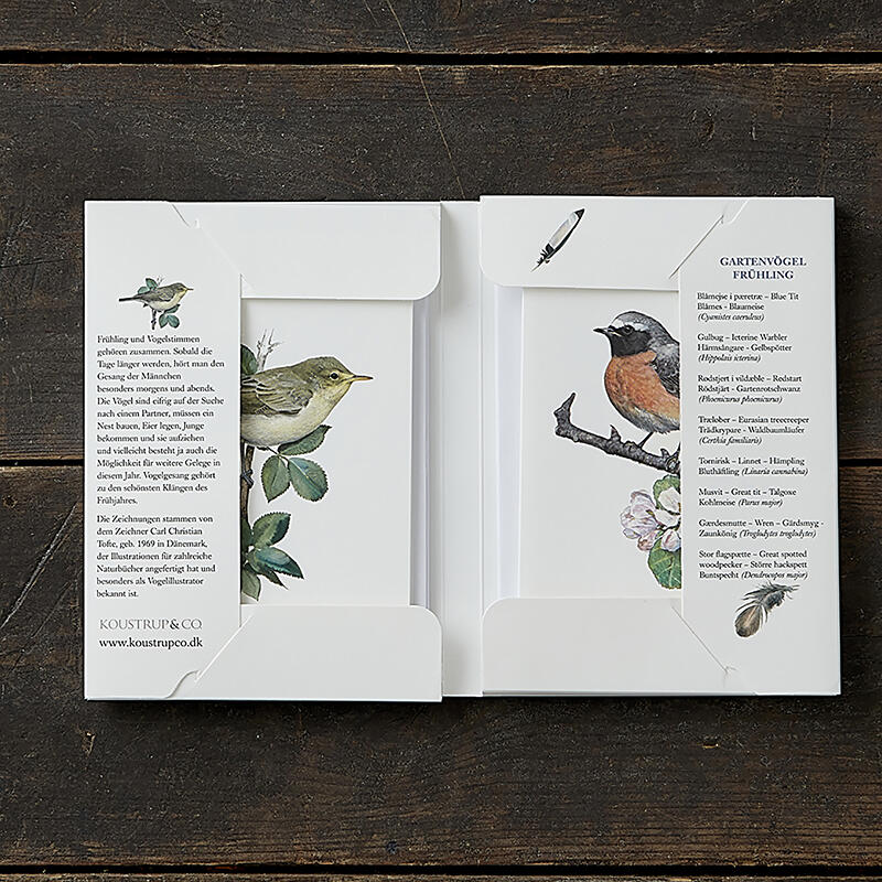 Uccelli da giardino Primavera - 8 carte (tedesco)