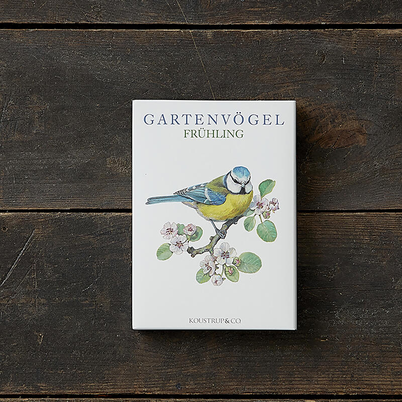 Uccelli da giardino Primavera - 8 carte (tedesco)