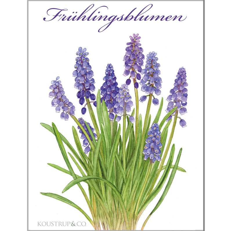 FRÜHLINGSBLUMEN - 8 cartoline (tedesco)