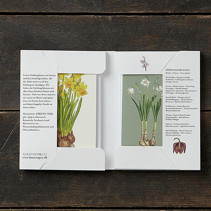 FRÜHLINGSBLUMEN - 8 cartoline (tedesco)