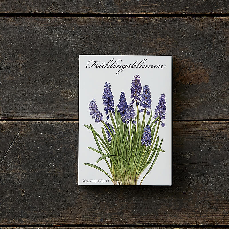 FRÜHLINGSBLUMEN - 8 cartoline (tedesco)