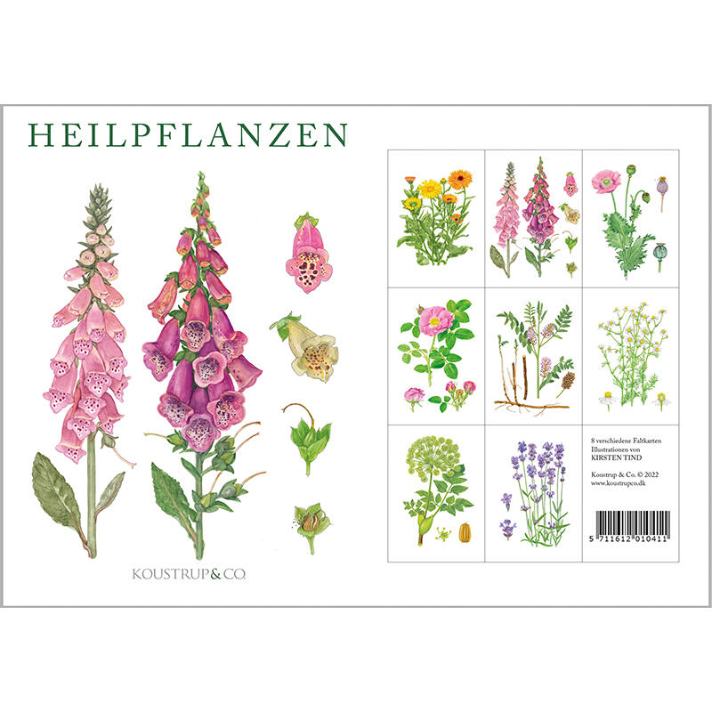 HEILPFLANZEN - 8 kort (tysk)