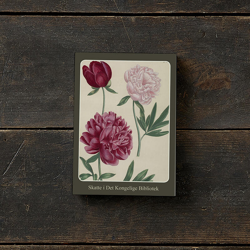 PRINTEMPS RAVISSANT - 8 cartes