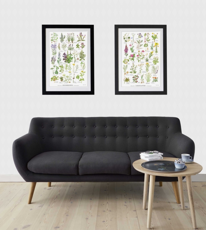 Lääkekasvit - Juliste A2