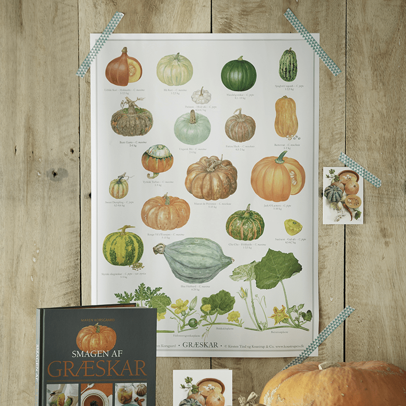 CALABAZA - Póster A2