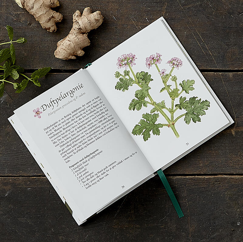 LIBRO: MIT GRØNNE APOTEK - le erbe medicinali della natura