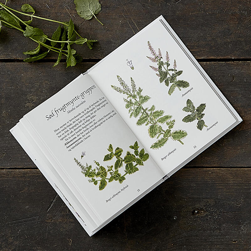 Mynte - bog om dyrkning og høst