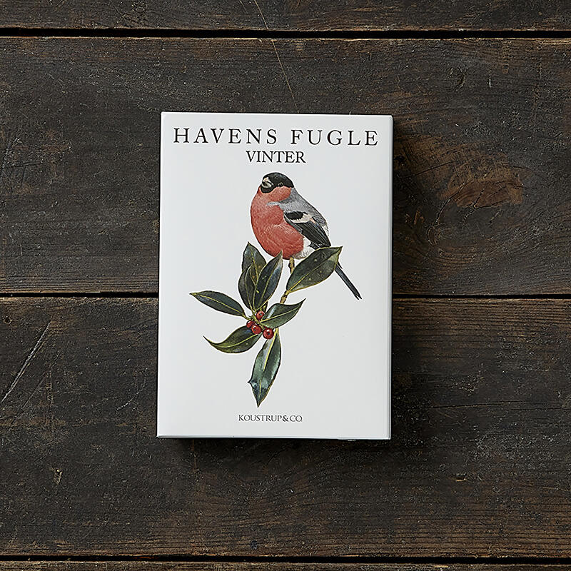 Uccelli del giardino in inverno - 8 cartoline