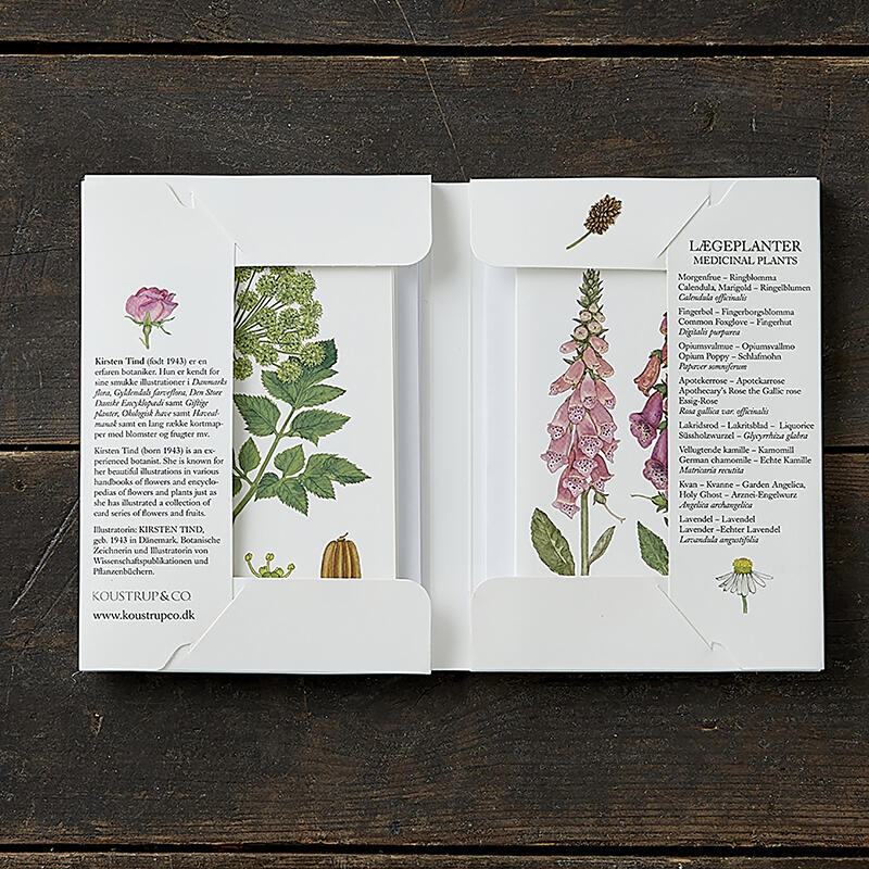 PLANTES MÉDICINALES - 8 cartes 