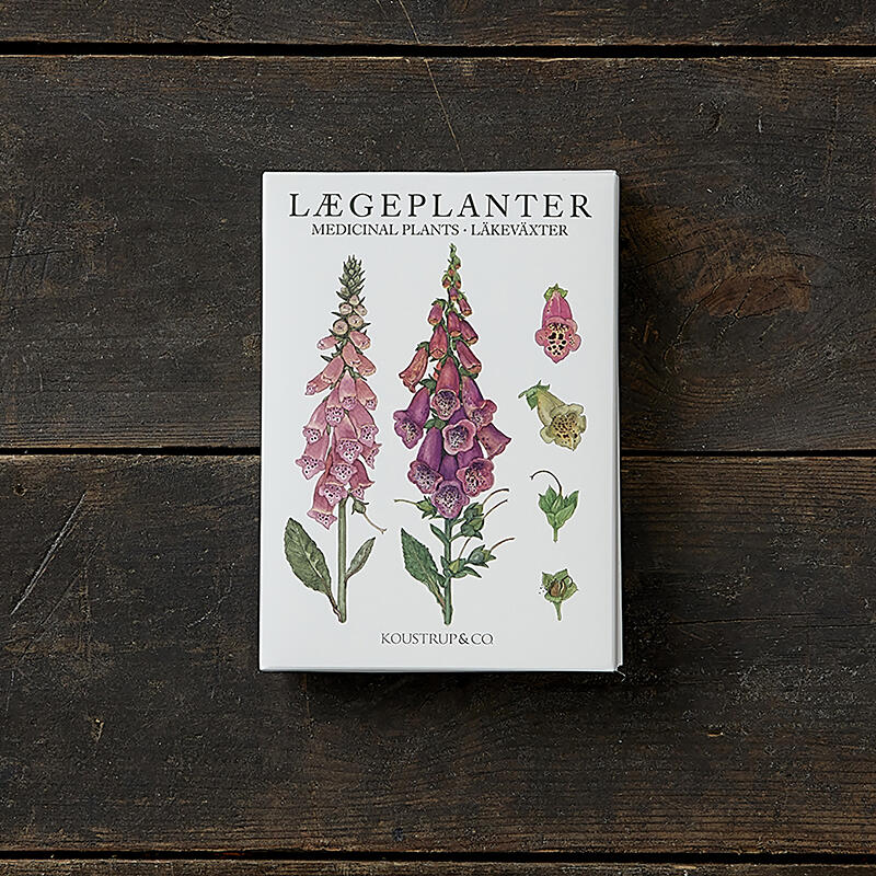 PLANTES MÉDICINALES - 8 cartes 