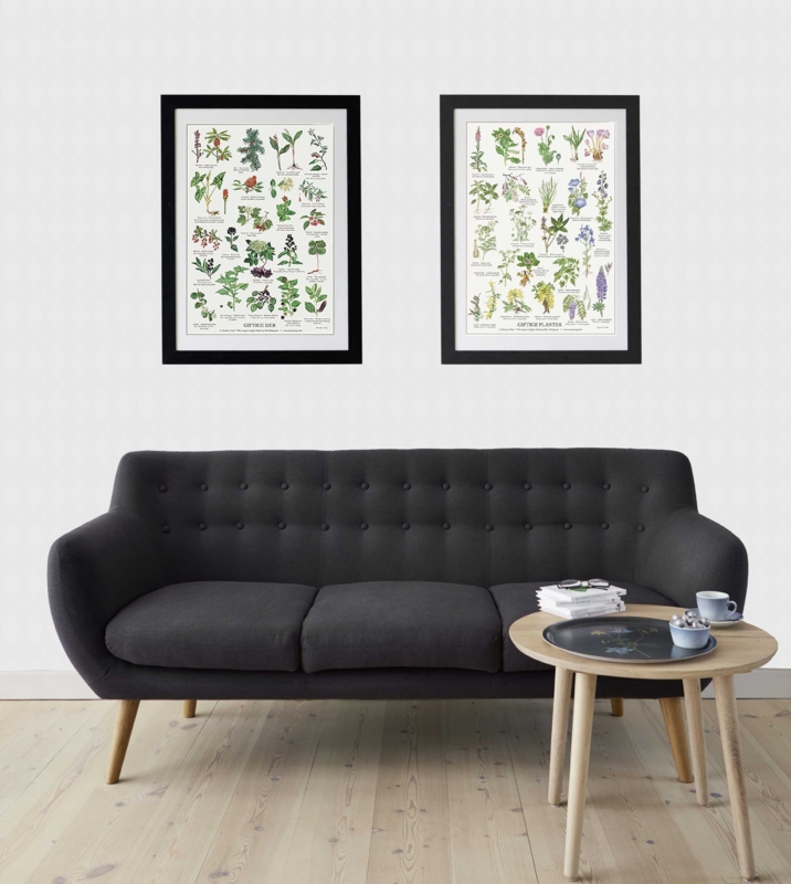 PLANTAS VENENOSAS - Póster A2