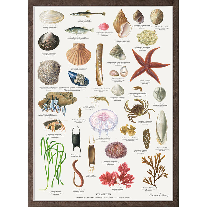 STRANDEN - Poster A2