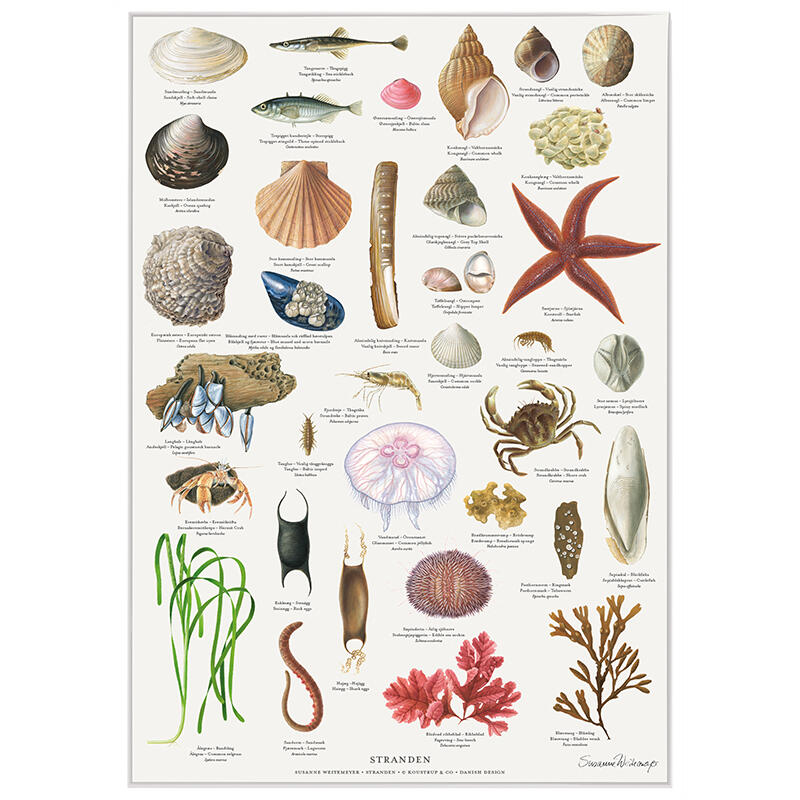 STRANDEN - Poster A2