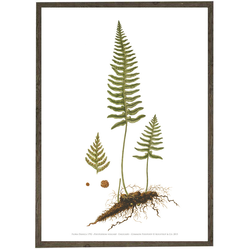 Engelsød A2 - KUNSTPRINT