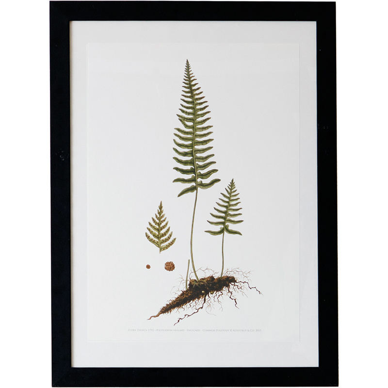 Engelsød A2 - KUNSTPRINT