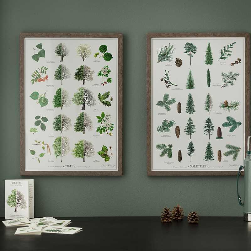 ÁRBOLES - Póster A2