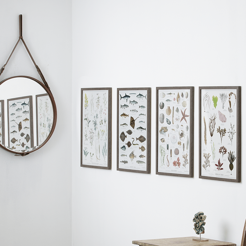 STRANDVÄXTER - Poster A2