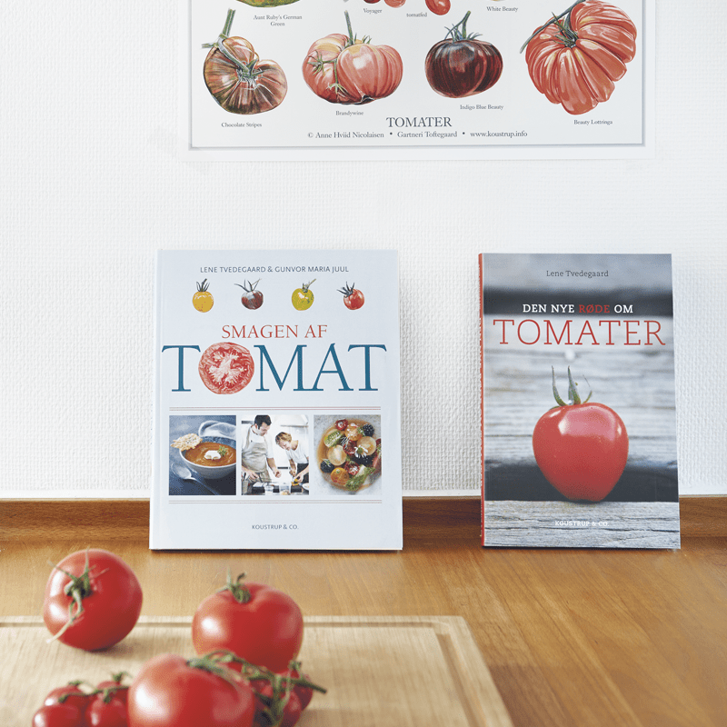 EL NUEVO ROJO SOBRE LOS TOMATES