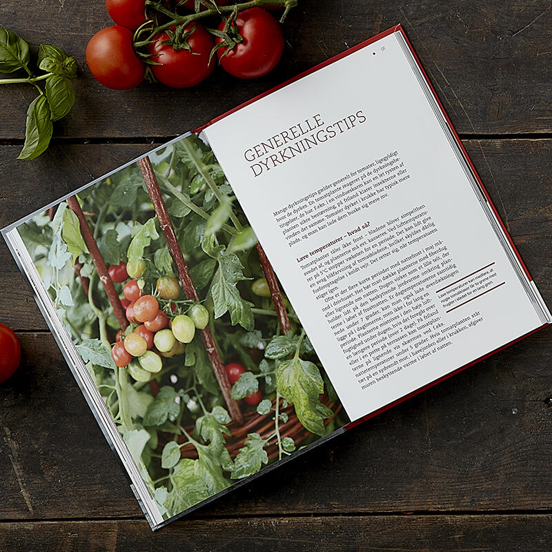 EL NUEVO ROJO SOBRE LOS TOMATES
