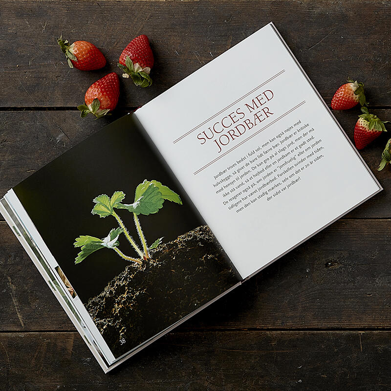 Smaken av jordgubbar - bok om mogna bär - ERBJUDANDE