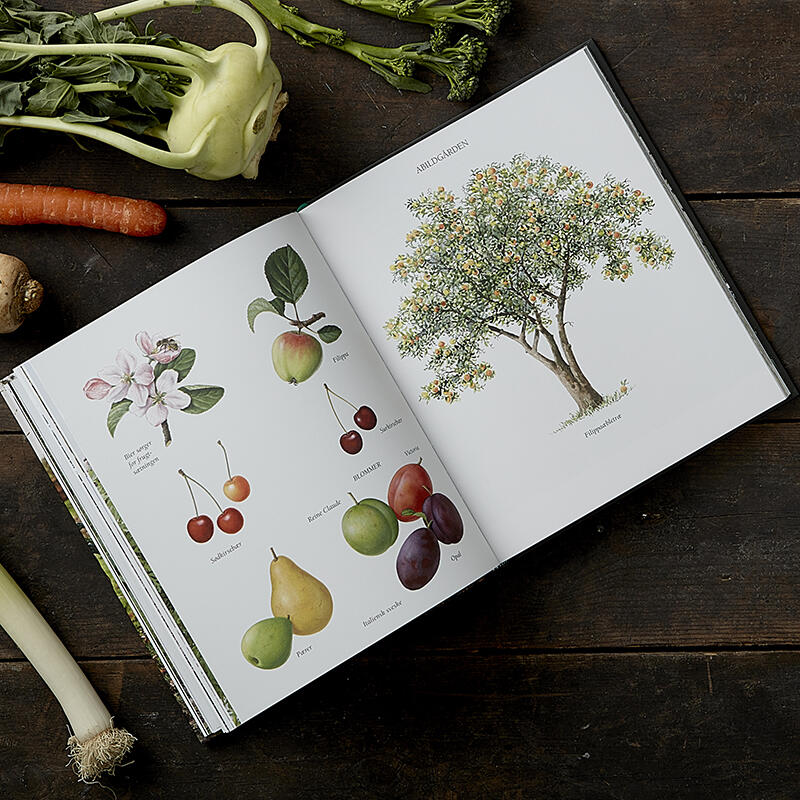 The Self-Sufficient Family