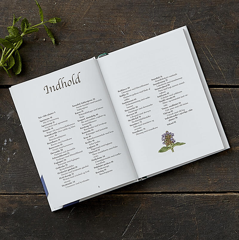 SPISELIGE VILDE PLANTER 2. udgave