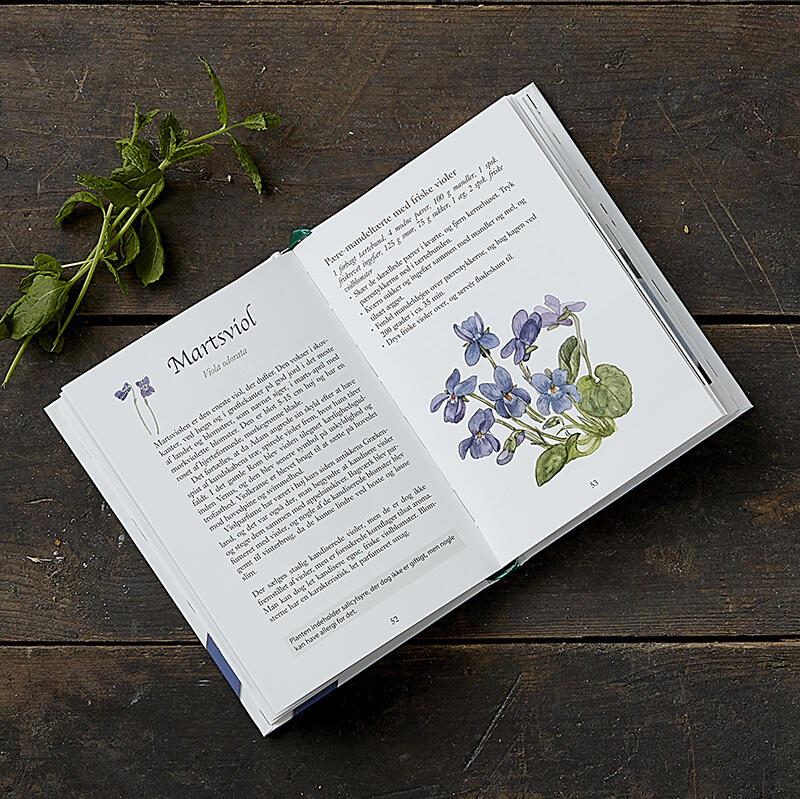 SPISELIGE VILDE PLANTER 2. udgave