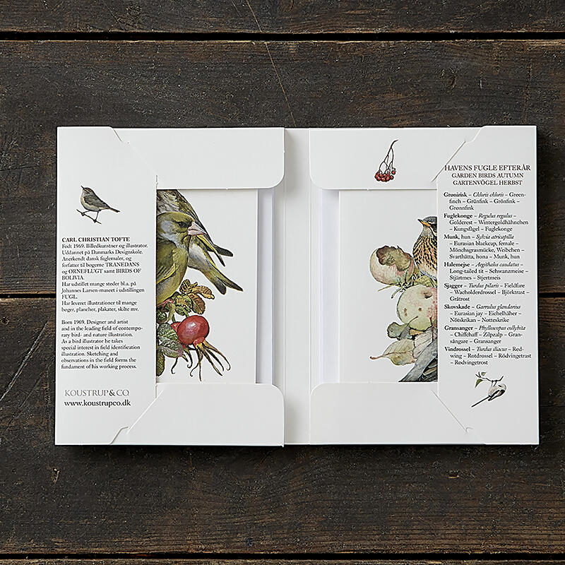 Uccelli da giardino - Autunno - 8 cartoline (tedesco)