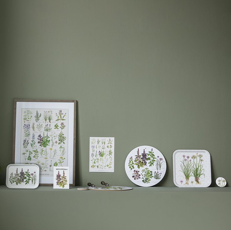 BANDEJA 20x27 - Hierbas aromáticas