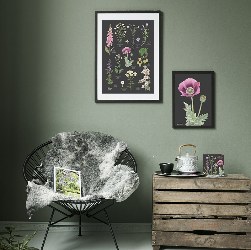 BAKKE Ø38 - Klosterhaven