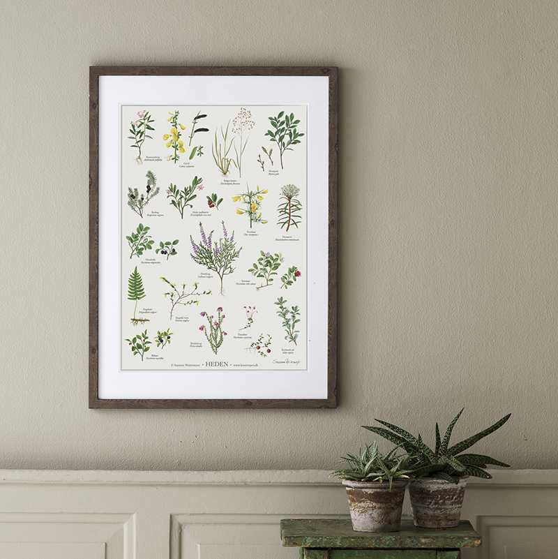 HEDEN - Póster A2 -