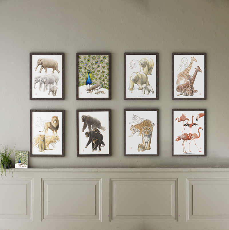 KUNSTDRUCK A3 - ZOO Elefant