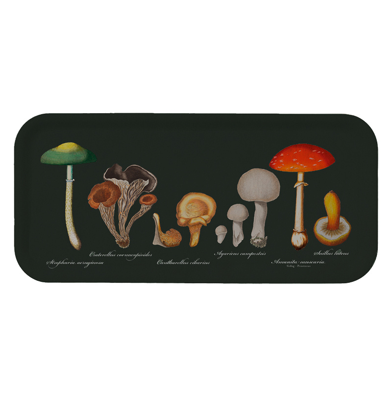 BAKKE 32x15 - Funghi