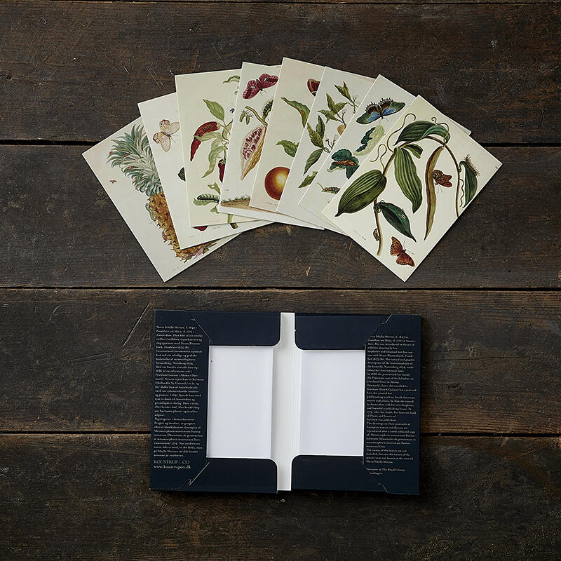 FRUGTER OG INSEKTER - 8 kort